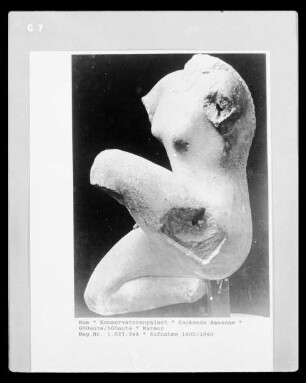 Hockende Amazone