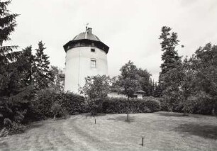 Eisenberger Windmühlenstumpf