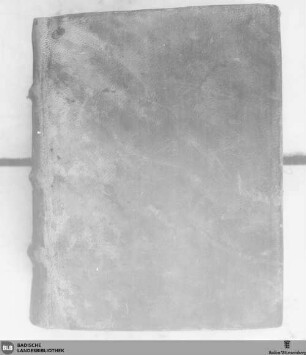 Lateinisches Stundenbuch - Cod. St. Peter perg. 76