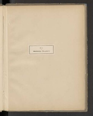 Pl. V. Hambourg. (Plan général.)