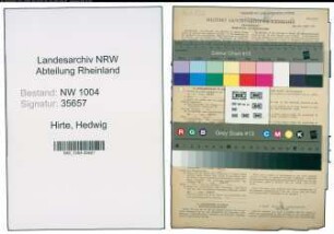 Entnazifizierung Hedwig Hirte , geb. 13.04.1897 (Staedt.Angestellte)