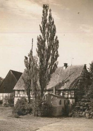 Waldheim-Gilsberg : Vierseithof, Ansicht von Süden