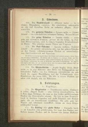 2. Eidechsen.