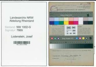 Entnazifizierung Josef Lodenstein, geb. 06.03.1901 (Schriftsteller)