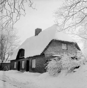 Reetdachhaus: "Schlosskate": hinten links Gatter: dahinter Bäume: vorn rechts Sträucher und Baum: Winter