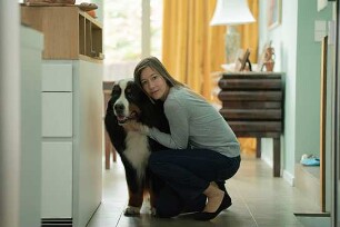 Wuff - Folge dem Hund
