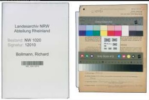 Entnazifizierung Richard Bollmann , geb. 21.02.1891 (Buchhalter)