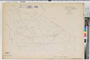 Beelen (Beelen), Umlegung Beelen-Axtbachtal, alter Bestand Bl.12 Clarholz Flur 16