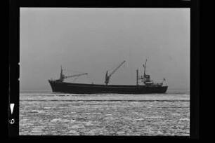 Nordstern (1955), Nordstern Reederei GmbH, Hamburg