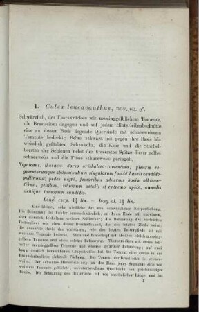 1. Culex leuccanthus, nov. sp. [bis] 50. Oxycera notata, nov. sp.