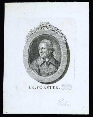 Forster, Johann Reinhold