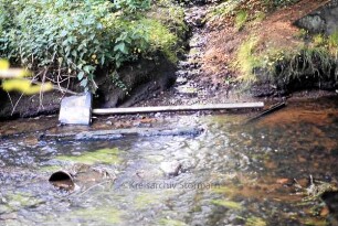 Trittau: Mühlenau