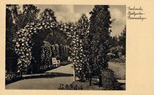 Postkartenalbum mit Motiven von Karlsruhe. "Karlsruhe. Stadtgarten - Rosenanlagen". Rosengarten im Stadtgarten