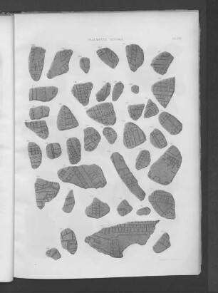 Fragmenta Minora.