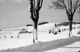 Breitnau: Verschneite Straße mit Blick gegen Nessellachen; mit Bäumen