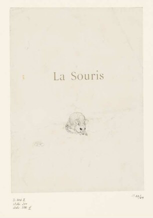La Souris, Blatt 9 der Folge "Histoires Naturelles"