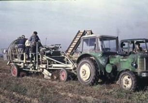 Kartoffelsammelroder Typ E 675 im Einsatz