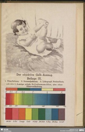 Der objektive Gelb- Auszug. Beilage IX