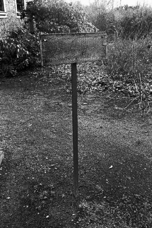 Berlin-Pankow : In Berlin-Pankow, Botanische Anlage