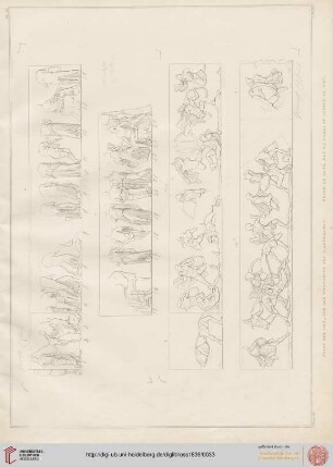 Planche XI-XII