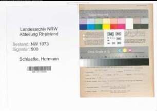 Entnazifizierung Hermann Schlaefke , geb. 18.07.1895 (Ingenieur)