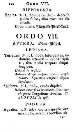 Ordo VII. Aptera. Ohne Fluegel