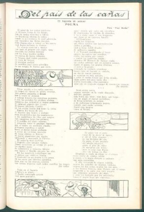 Del país de las cañas : El ingenio de azúcar - Poema