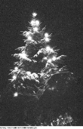 Winter, Landschaften, Max Hille beim Skilauf, beleuchteter Weihnachtsbaum, Januar-Februar 1956