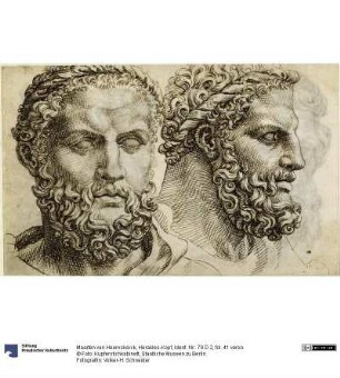 Herakles-Kopf