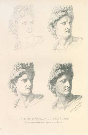 Tête d l'Apollon du Belvédère