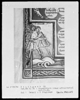 Arbor affinitatis (Tafel der Verwandtschaftsgrade) — Zwei kämpfende Jünglinge, Folio 1recto