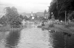Waldkirch: Teich im Kurpark