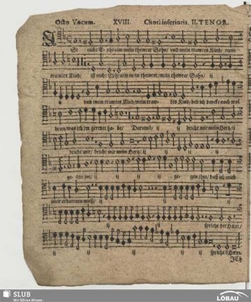 XVIII. Ist nicht Ephraim