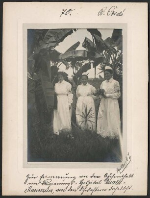 Krankenschwestern des Regierungskrankenhauses in Douala, Kamerun : Portrait von drei europäischen Krankenschwestern unter Bananenpalmen