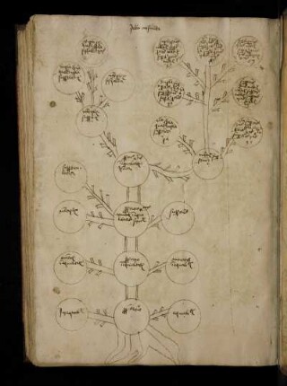 Arbor arithmetica. De proportionibus.