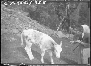 Bäuerin mit Kalb