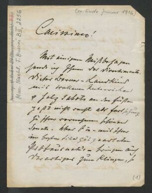 Brief an Ferruccio Busoni : Januar 1916