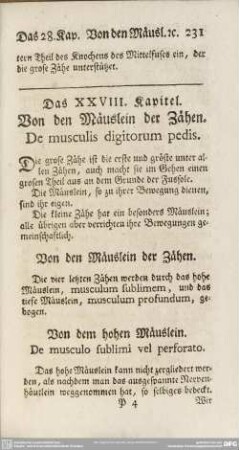 Das XXVIII. Kapitel. Von den Mäuslein der Zähen. De musculis digitorum pedis