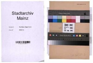 Bewerbungen um die Stelle des Musikdirektors bei der Mainzer Liedertafel und Damengesangverein