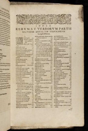 Index rerum et verborum