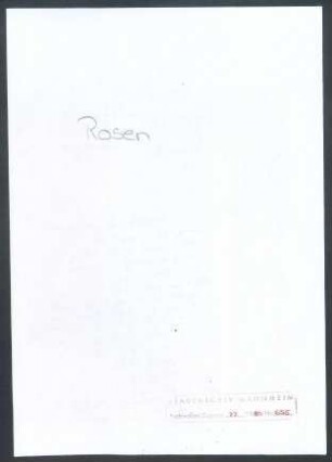 Rosen, Friedrich und Nina, Den Haag, Schriftwechsel mit Wichert