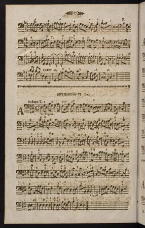 Antiphona VI.