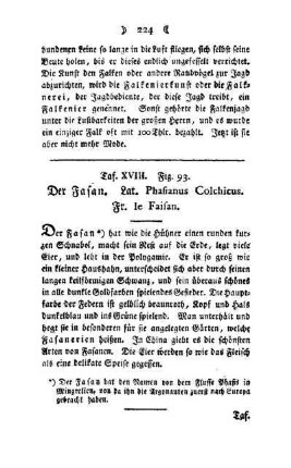 ¬Der¬ Fasan : Taf. XVIII, Fig. 93