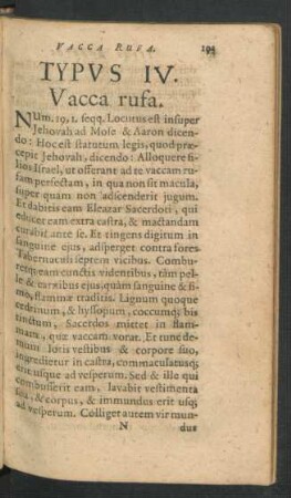 Typus IV. Vacca rufa.