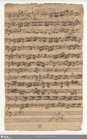 Violino. [Violone = b]