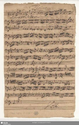 Violino. [Violone = b]