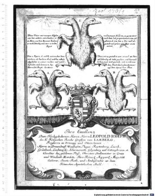 Dises Thier mit zweyen Köpfen und zweyen Hälsen, so ganz einer von dem andern entscheiden, U. nach dem leib proportionirt sein, ist zu Rom, aus dem Ey einer Tauben geboren A: 1701, den 2. Dec: und als es noch lebendig war, war es in der gestalt und grösse, wie dise erste Figur weiset ...