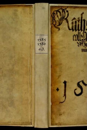 Ratsprotokolle, 1585 Aug. 10. - 1586 Aug. 7.