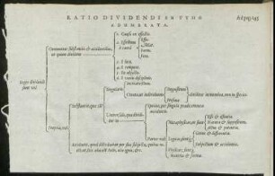 Ratio Dividendi En [...] Adumbrata.
