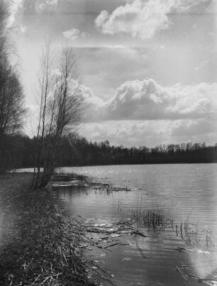 Landschaft : Unbekannter Ort. Seenlandschaft